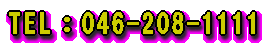 TEL:046-208-1111